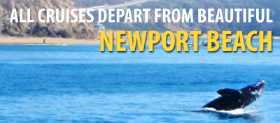 All cruises depart from beautiful Newport Beach