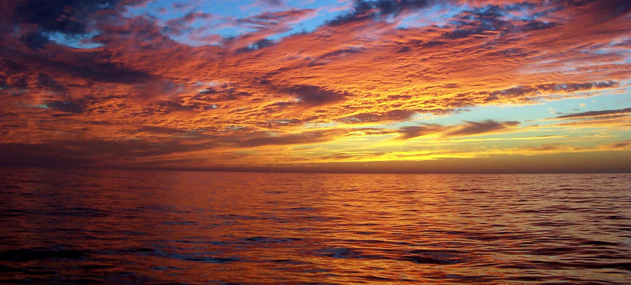 Newport Beach Ash Scattering